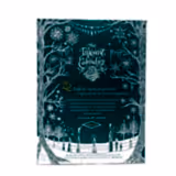 Diamine Inkvent Calender Teal Edition