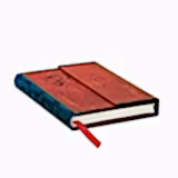 Alice in Wonderland Manyetik Kapak Defter