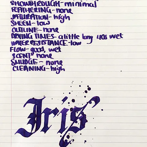 Diamine Flower İris Dolmakalem Mürekkebi