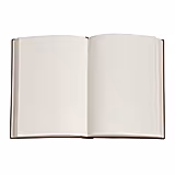 Lynx Rising Softcover Midi Defter