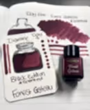 Diamine Inkvent Black Edition Forest Gateau Mürekkep
