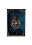 Harry Potter Legends of Hogwarts Mini Çizgili Defter