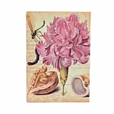 Paperblanks Pink Carnation Softcover Defter