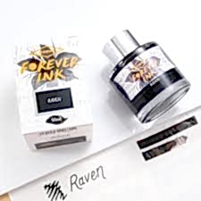 Diamine Forever Ink Raven Pigment Mürekkep