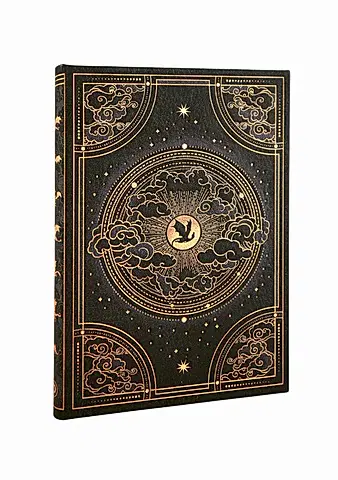 Shadows of Navarre Midi Defter