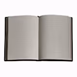 Van Gogh Still Life Ultra Defter