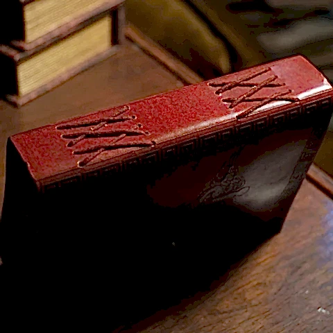 Cadaceus Doktor Deri Defter