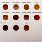 Diamine Ochre Dolmakalem Mürekkebi