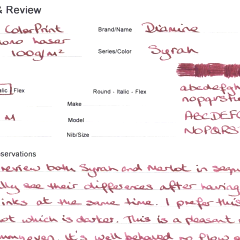 Diamine Dolmakalem Mürekkebi Syrah