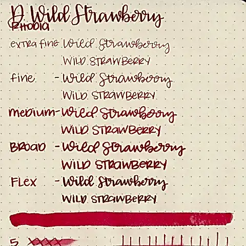 Diamine Dolmakalem Mürekkebi Wild Strawberry 80 ml